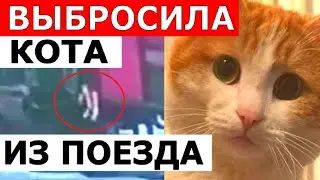 Проводница Выбросила КОТА Пассажира из поезда в Кирове