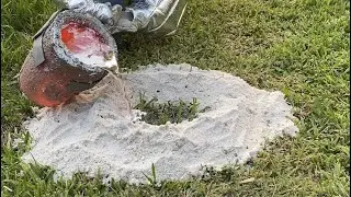 Florida Anthill Casting #8