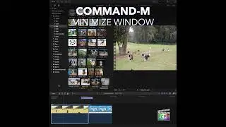 Final Cut Pro Shortcut | Command-M | Minimize Window