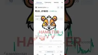 Hamster Coin News 😀 #shorts #trending #crypto