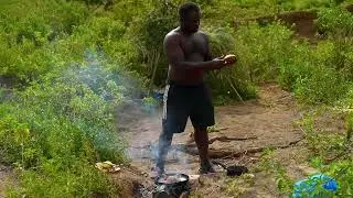 Building the BEST Bushcraft Shelter in Maasai Highlands! (Jungle survival challenge)