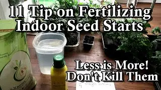 11 Tips on Fertilizing Indoor Garden Seed Starts: When to Feed, What to Use, & Don't Over Fertilize!