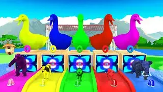 5 Giant Duck Floating Water Tiger Gorilla Dinosaur Cow Elephant Buffalo Transforming Funny Animals