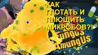 Fungus Amungus: как глотать и плющить микробов?!