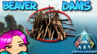 BEAVER DAMS - ASA - THE ISLAND