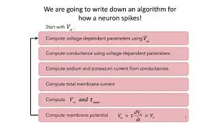 4: Hodgkin-Huxley Model Part 1 - Intro to Neural Computation