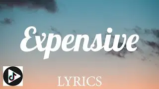 Ty Dolla $ign - Expensive ft  Nicki Minaj (Lyrics) | Tiktok Play
