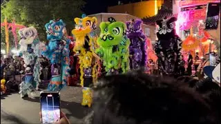 Cabramatta moon festival 2024 colourful lion dance doing THQ style by THQ