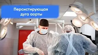 Персистирующая дуга аорты у питомца. Какие симптомы должны насторожить владельца?