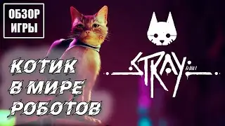 Обзор игры Stray | Приключения котика в мире роботов