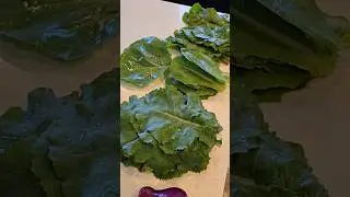 time to eat some greens 🥗🍃🥬🌿 #garden