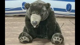 Destroy Large Stuffed Grizzly Bear Stuffed Animal Teddy Bear