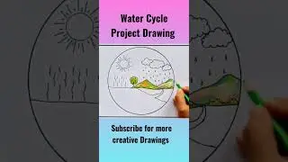 Water Cycle Diagram #youtubeshorts #shorts