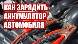 Как зарядить аккумулятор автомобиля? Обзор ПЗУ.