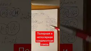 Ковалентная связь #shortsvideo