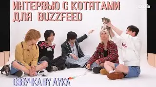 [Русская озвучка by Ayka] Интервью с котятами для BuzzFeed