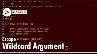 Shell script - Escape wildcard argument