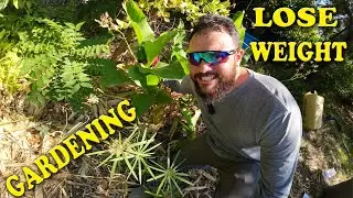 How I lost 40 pounds By Gardening