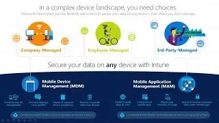 Intune MAM vs MDM: What's the Difference?