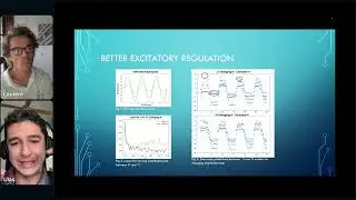 Ulaş İbrahim Ayyılmaz - Exc/inh neurons distinct roles for learning, temporal scaling, and WM