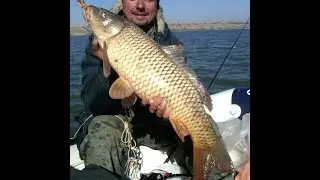 ловля сазана на джиг на Дону