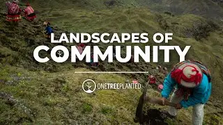 Planting Trees for Community | One Tree Planted