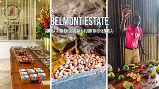 Belmont Estate cocoa and chocolate tour | Grenada sustainable tourism