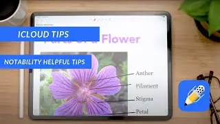 iCloud Tips for Notability