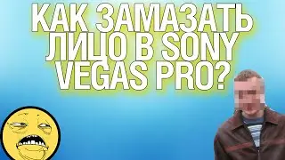 Как замазать лицо в sony vegas pro?