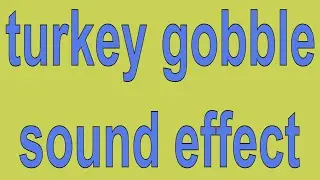 turkey gobble sound effect