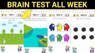 Brain Test All Day ✪ Newest 2024 ✪ English