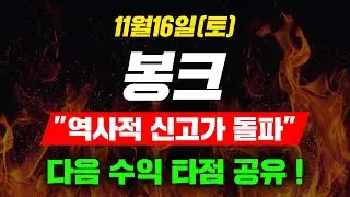 [긴급속보] 11월16일(토) 봉크 