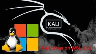 How to Install Kali Linux on WSL with GUI - Kali Linux Tutorial for Beginners