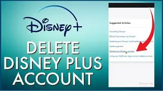 How to Delete Disney Plus Account 2024 ?