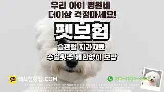 [펫보험] 늦게 가입하시면 절대 안됩니다..!!