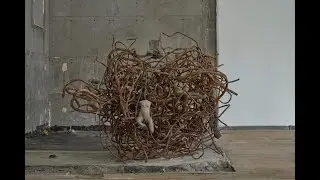 video for 