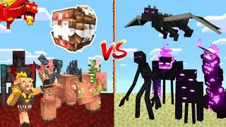 NETHER vs END in Minecraft Mob Battle