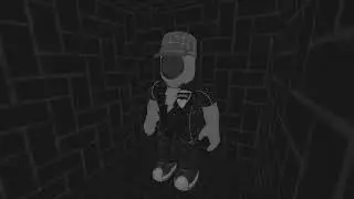 Roblox Animation, The chance to continue...