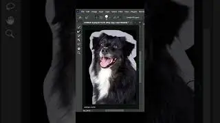 Remove Complicated Background in Photoshop! 