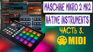 Часть 3. Работа в MIDI - режиме. Настройка миди-контроллера для работы в DAW. NI Maschine mkII mikro