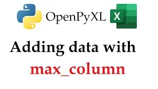 Openpyxl - Finding the Last/Max Column to Add Data in Excel Workbooks with Python | Data Automation