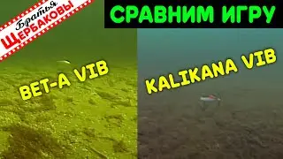 Вибы Pantoon 21 Bet-A Vib 61 против Kalikana VIB 65. Сравним игру на 5 метрах