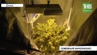 🍀 Бдительные соседи пресекли выращивание конопли * Казань | ТНВ