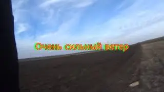 Охота на зайца в СИЛЬНЫЙ ВЕТЕР.