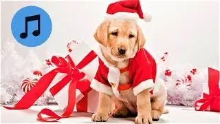 НОВОГОДНЯЯ МУЗЫКА 2019 - слушать и наслаждаться