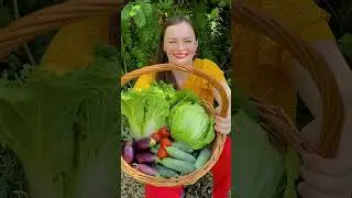 Купили дачу? САМОЕ ГЛАВНОЕ Дачный агроном