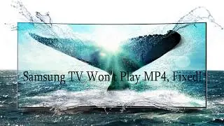 Samsung TV Won't Play MP4, Fixed!