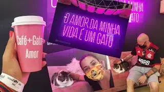 GATOCAFÉ - a cafeteria pra quem ama gato + café