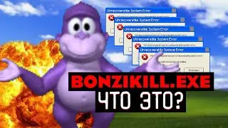 СТРАННЫЙ ВИРУС - BONZI KILL.EXE