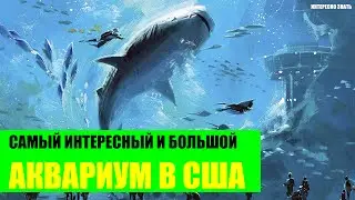 Самый интересный и самый большой аквариум в США